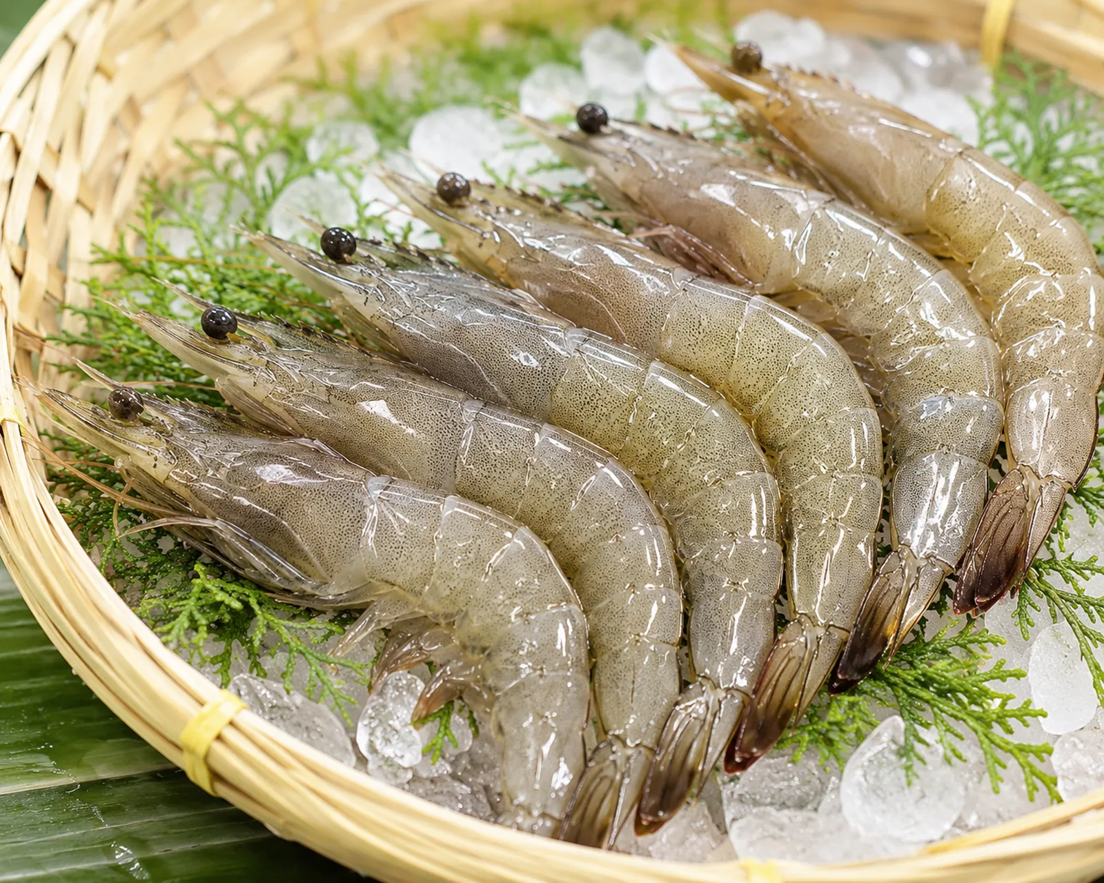 Raw vannamei shrimp arranged on ice in a woven bamboo basket with green herbs, product photography